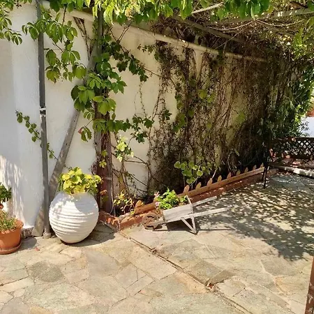 Sun&blue * Gaios
